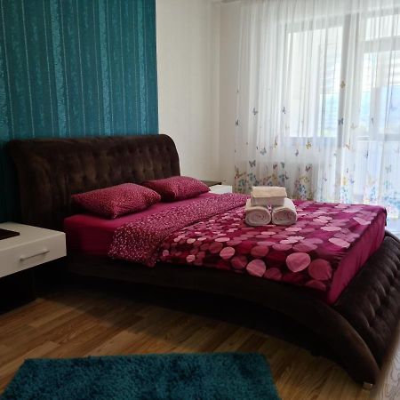 Premium Apartment Isaran Braşov Dış mekan fotoğraf