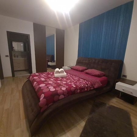 Premium Apartment Isaran Braşov Dış mekan fotoğraf